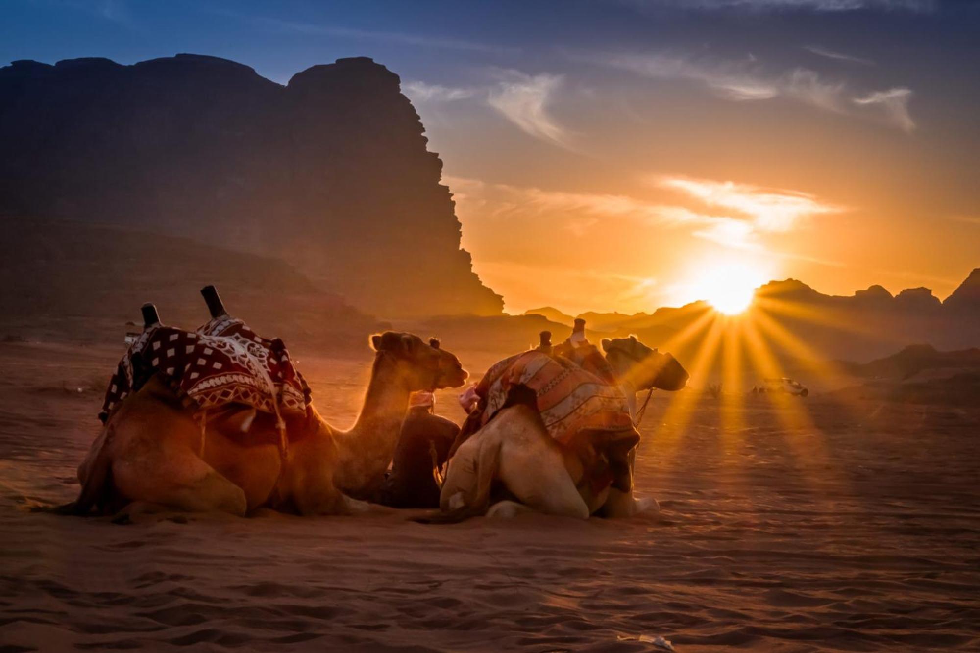 Wadi Rum Mundo Camp Akaba Zewnętrze zdjęcie