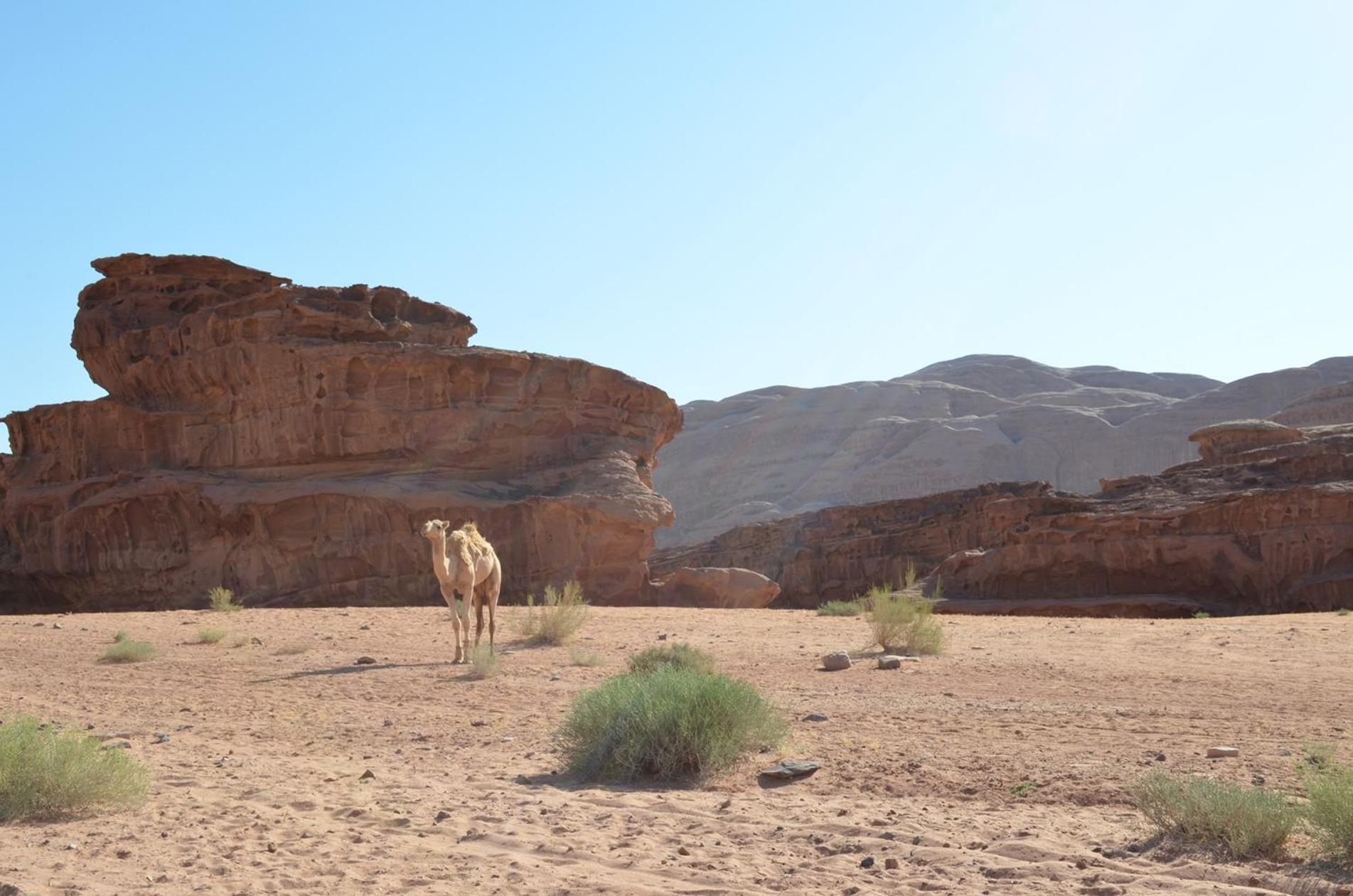 Wadi Rum Mundo Camp Akaba Zewnętrze zdjęcie
